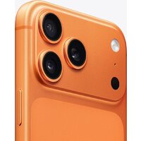 Телефон Apple iPhone 17 Pro Max 512GB (космический оранжевый) фото-4