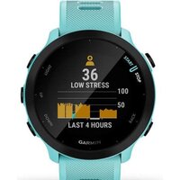 Умные часы Garmin Forerunner 55 (бирюзовый) фото-3