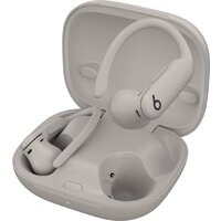 Наушники Beats Powerbeats Pro 2 (серый) - фото2