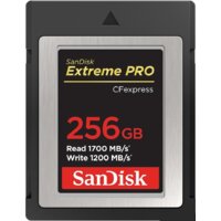Карта памяти SanDisk Extreme Pro CFexpress Type B SDCFE-256G-GN4NN 256GB - фото1